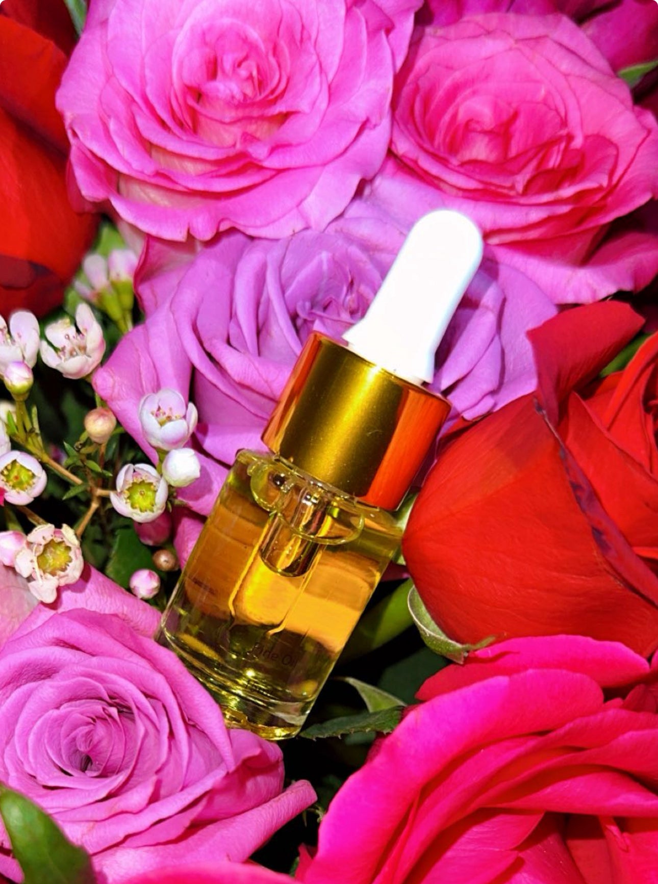 ROSE R